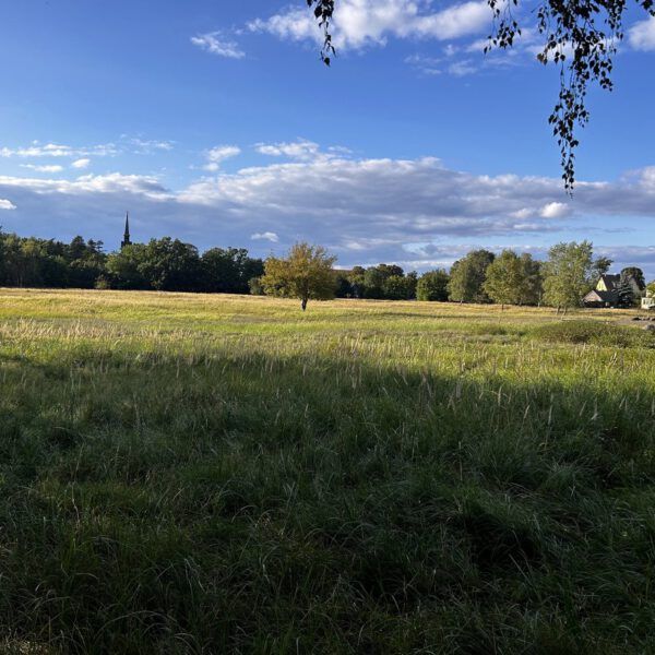 PM: Schluss mit der Posse um die Oberschule auf dem KWO Gelände Hoppegarten
